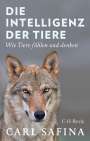 Carl Safina: Die Intelligenz der Tiere, Buch