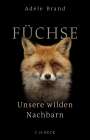 Adele Brand: Füchse, Buch