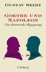 Gustav Seibt: Goethe und Napoleon, Buch