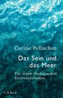 Corine Pelluchon: Das Sein und das Meer. Für einen ökologischen Existenzialismus. C.H.Beck.  Hintergrund: Wasseroberfläche.