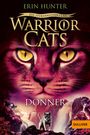 "Ein sternenloser Clan: Warrior Cats – Donner." Großes Katzenbild, leuchtende Augen, zwei kleinere Katzen auf Felsen.