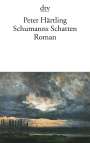 : Schumanns Schatten, Buch