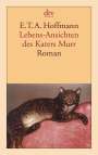 Ernst Theodor Amadeus Hoffmann: Lebens-Ansichten des Katers Murr, Buch