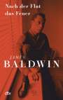 James Baldwin: Nach der Flut das Feuer, Buch