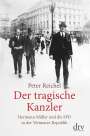 Peter Reichel: Der tragische Kanzler, Buch