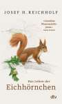 Josef H. Reichholf: Das Leben der Eichhörnchen, Buch