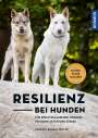 Vanessa Engelstädter: Resilienz bei Hunden, Buch
