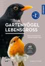 Daniela Strauß: Gartenvögel lebensgroß, Buch