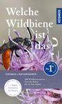 Welche Wildbiene ist das? Nahaufnahme einer Biene auf einer lila Blume, mit "Kosmos"-Logo und zusätzlichem Text.