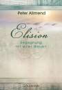 Peter Allmend: Elision, Buch