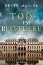 Beate Maxian: Tod im Belvedere, Buch