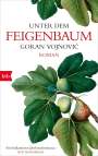 Goran Vojnovic: Unter dem Feigenbaum, Buch