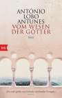 António Lobo Antunes: Vom Wesen der Götter, Buch