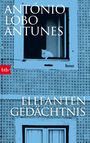 ANTÓNIO LOBO ANTUNES, Roman, ELEFANTEN GEDÄCHTNIS. Ein weißes Kätzchen sitzt in einem Fenster.