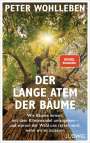 Peter Wohlleben: Der lange Atem der Bäume, Buch