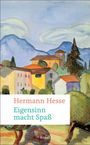 Text: "Hermann Hesse - Eigensinn macht Spaß". Illustration: bunte Häuser vor Hügeln und Bäumen.