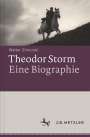 Walter Zimorski: Theodor Storm - Biographie, Buch