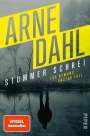 Arne Dahl: Stummer Schrei, Buch