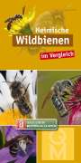 : Heimische Wildbienen, Buch