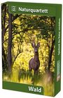 Wald, SPL