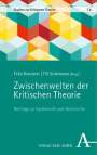 : Zwischenwelten der Kritischen Theorie, Buch