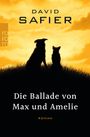 David Safier: Die Ballade von Max und Amelie, Buch