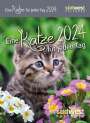 : Eine Katze für jeden Tag 2024 - Tagesabreißkalender zum Aufstellen oder Aufhängen, KAL