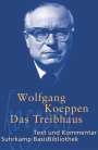Wolfgang Koeppen: Das Treibhaus, Buch
