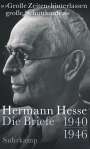 Hermann Hesse: »>Große Zeiten< hinterlassen große Schutthaufen«, Buch