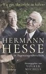 „Wie gut, ihn erlebt zu haben“. HERMANN HESSE in Augenzeugenberichten. Herausgegeben von Volker Michels. Zwei ältere Männer.
