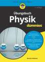 Steven Holzner: Übungsbuch Physik für Dummies, Buch