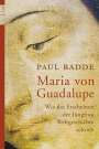 Paul Badde: Maria von Guadalupe, Buch
