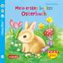 Denitza Gruber: Baby Pixi (unkaputtbar) 63: VE 5 Mein erstes buntes Osterbuch (5 Exemplare), Div.