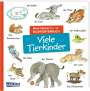 : Mein kleines buntes Bildwörterbuch: Viele Tierkinder, Buch