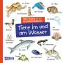 : Mein kleines buntes Bildwörterbuch: Tiere im und am Wasser, Buch