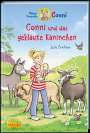 Julia Boehme: Conni Erzählbände 41: Conni und das geklaute Kaninchen, Buch