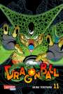 Akira Toriyama: Dragon Ball Massiv 11, Buch
