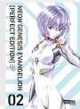 Yoshiyuki Sadamoto: Neon Genesis Evangelion - Perfect Edition 2, Buch