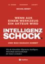 Michael Berndt: Intelligenzschock, Buch