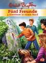 Enid Blyton: Fünf Freunde - 3 Abenteuer in einem Band, Buch
