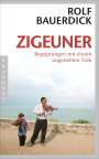 Rolf Bauerdick: Zigeuner, Buch