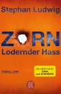 Stephan Ludwig: Zorn - Lodernder Hass, Buch