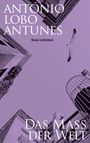 „António Lobo Antunes, Roman Luchterhand, Das Maß der Welt“. Gebäude und Möwe am Himmel, lila Farbtöne.