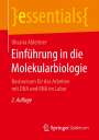 Oksana Ableitner: Einführung in die Molekularbiologie, Buch
