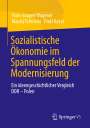 Hans-Jürgen Wagener: Sozialistische Ökonomie im Spannungsfeld der Modernisierung, Buch