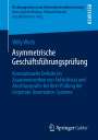 Willy Wirth: Asymmetrische Geschäftsführungsprüfung, Buch