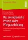Wiebke Hartmann: Das exemplarische Prinzip in der Pflegeausbildung, Buch