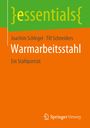 Till Schneiders: Warmarbeitsstahl, Buch