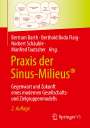 : Praxis der Sinus-Milieus®, Buch