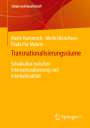 Merle Hummrich: Transnationalisierungsräume, Buch